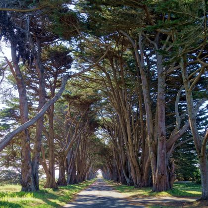 美国旧金山Point Reyes National Seashore一日游 美国旧金山Point Reyes National Seashore一日游