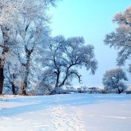 桦皮岭徒步踏雪纯玩1日游【拼车天天发+张家口市区上门接送】 桦皮岭徒步踏雪纯玩1日游【拼车天天发+张家口市区上门接送】