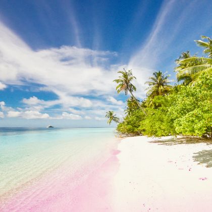 龙目岛Pink Beach一日游