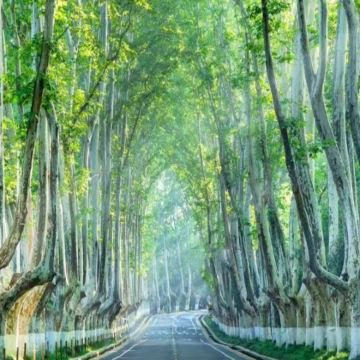 南京总统府+牛首山文化旅游区+中山陵景区+美龄宫+夫子庙1日 南京总统府+牛首山文化旅游区+中山陵景区+美龄宫+夫子庙1日