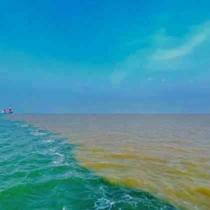 黄河口生态旅游区一日游【市区上门接+景交车+门票】 黄河口生态旅游区一日游【市区上门接+景交车+门票】