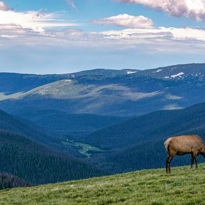 美国丹佛+洛矶山国家公园包车游【中文司机+酒店接送】 美国丹佛+洛矶山国家公园包车游【中文司机+酒店接送】