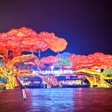 【自贡灯会+燊海井+盐业历史博物馆】躺平式一日游 【自贡灯会+燊海井+盐业历史博物馆】躺平式一日游