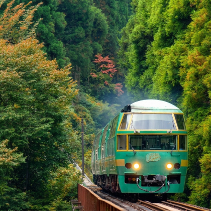 九州赏枫·别府地狱·汤布院·太宰府一日游· 含由布院之森列车 九州赏枫·别府地狱·汤布院·太宰府一日游· 含由布院之森列车