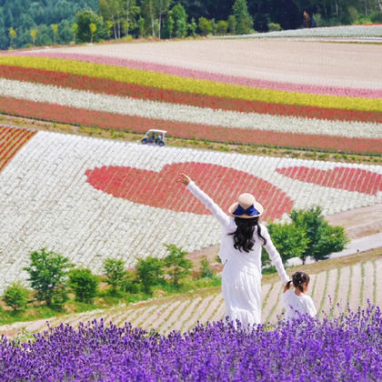 日本北海道+旭山动物园+森林精灵阳台+美瑛一日游 日本北海道+旭山动物园+森林精灵阳台+美瑛一日游