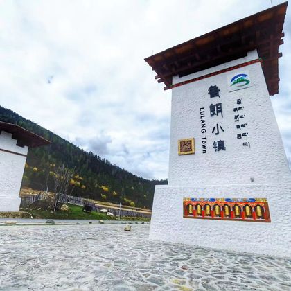 西藏林芝+鲁朗林海+鲁朗国际旅游小镇+南迦巴瓦峰一日游