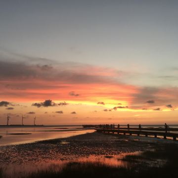 台中高美湿地+中社花市+春水堂+歌剧院+逢甲夜市【台中出发】 台中高美湿地+中社花市+春水堂+歌剧院+逢甲夜市【台中出发】