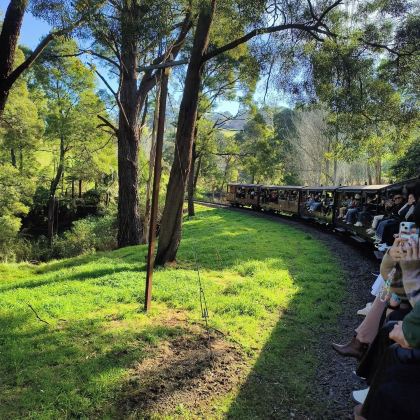 【圣诞元旦|春节有位】墨尔本普芬比利蒸汽火车+菲利普岛一日游 【圣诞元旦|春节有位】墨尔本普芬比利蒸汽火车+菲利普岛一日游