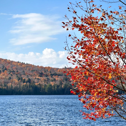 加拿大渥太华出发:阿岗昆省级公园一日游 加拿大渥太华出发:阿岗昆省级公园一日游