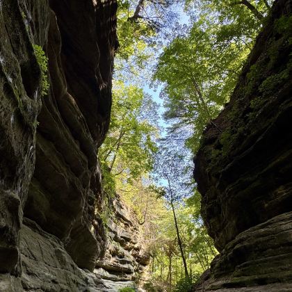 美国芝加哥:饥饿岩石公园+玛西森州利公园【中文专导包车】 美国芝加哥:饥饿岩石公园+玛西森州利公园【中文专导包车】