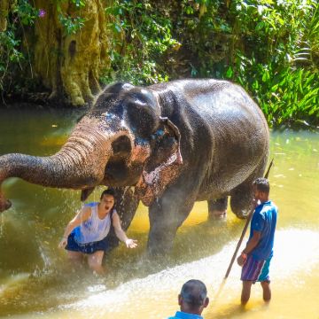 探索更多朗普拉邦大象保护体验和光西瀑布 探索更多朗普拉邦大象保护体验和光西瀑布