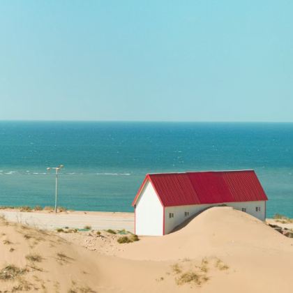 【环湖公路】博斯腾湖+大河口+白鹭洲一日游 【环湖公路】博斯腾湖+大河口+白鹭洲一日游