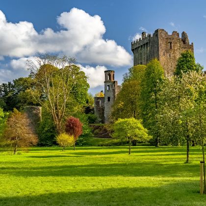 爱尔兰都柏林出发:金塞尔小镇一日游【行程可调】 爱尔兰都柏林出发:金塞尔小镇一日游【行程可调】