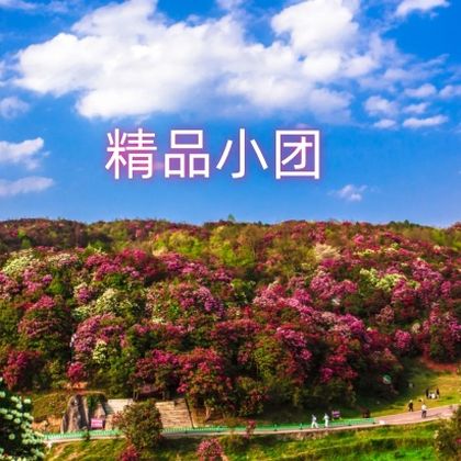 贵州百里杜鹃风景区一日游 贵州百里杜鹃风景区一日游