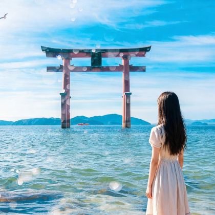 琵琶湖一日游,琵琶湖畔山间秘境,打卡白须神社水上鸟居L纯玩团 琵琶湖一日游,琵琶湖畔山间秘境,打卡白须神社水上鸟居L纯玩团