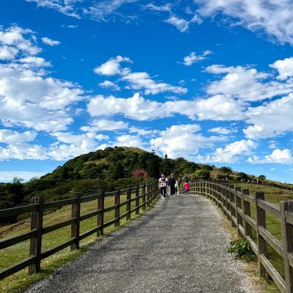 台北出发|北投温泉阳明山亲山一日游 台北出发|北投温泉阳明山亲山一日游