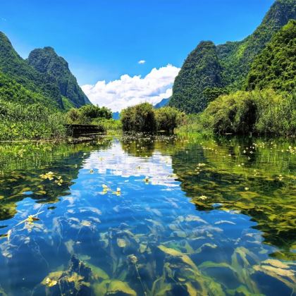 南宁起止---九顿溢流天窗群—弄响天坑一日游【上门接送】 南宁起止---九顿溢流天窗群—弄响天坑一日游【上门接送】