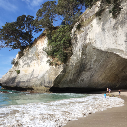 新西兰奥克兰-派希亚-90里海滩可定制【中文专车-惬意舒适】 新西兰奥克兰-派希亚-90里海滩可定制【中文专车-惬意舒适】