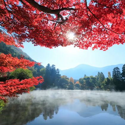 九州自然动物公园+金鳞湖+别府地狱一日游 九州自然动物公园+金鳞湖+别府地狱一日游
