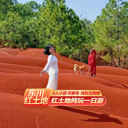 云南昆明周边游东川红土地一日游【东川红土地/纯玩/精致小团】 云南昆明周边游东川红土地一日游【东川红土地/纯玩/精致小团】