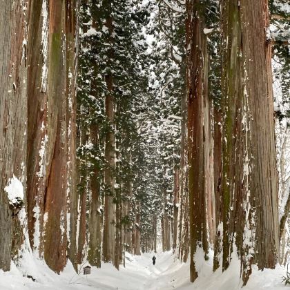 日本长野市地狱谷野猿公苑+户隐一日游(东京出发2选1) 日本长野市地狱谷野猿公苑+户隐一日游(东京出发2选1)