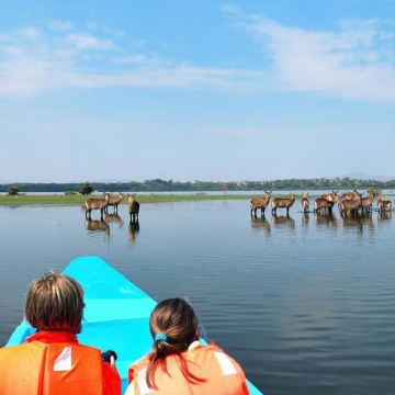 肯尼亚内罗毕出发 纳库鲁湖国家公园+奈瓦沙湖游船一日游 肯尼亚内罗毕出发 纳库鲁湖国家公园+奈瓦沙湖游船一日游