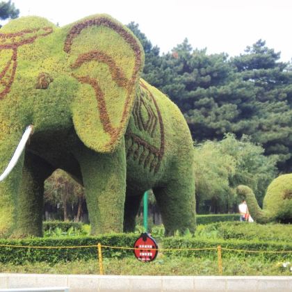 长春+国信南山温泉+动植物公园+新民大街一日游 长春+国信南山温泉+动植物公园+新民大街一日游