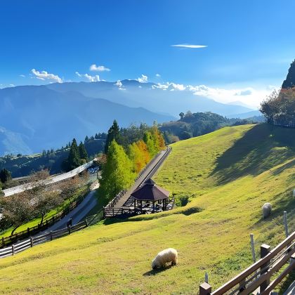 台湾台中出发+清境农场+老英格兰庄园+日月潭风景区 台湾台中出发+清境农场+老英格兰庄园+日月潭风景区