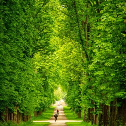 巴黎出发:兰斯 + 埃佩尔奈 + 上维耶尔(探秘香槟酒乡) 巴黎出发:兰斯 + 埃佩尔奈 + 上维耶尔(探秘香槟酒乡)