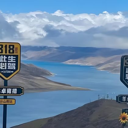 西藏拉萨羊卓雍错一日游【羊湖/卡若拉冰川2-8人真纯玩小团】 西藏拉萨羊卓雍错一日游【羊湖/卡若拉冰川2-8人真纯玩小团】