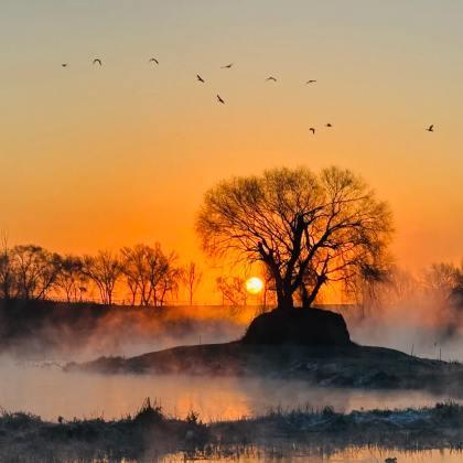 千岛湖+哈素海一日游【8人小团|看日出|赏雾松| 滑冰 】 千岛湖+哈素海一日游【8人小团|看日出|赏雾松| 滑冰 】