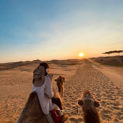 库布齐沙漠+哈素海一日游【可选沙漠穿越+套票】 库布齐沙漠+哈素海一日游【可选沙漠穿越+套票】