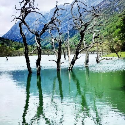 成都+九寨沟+黄龙风景名胜区+四姑娘山5日4晚拼小团 成都+九寨沟+黄龙风景名胜区+四姑娘山5日4晚拼小团