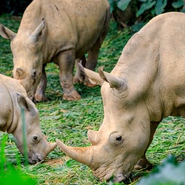 汕头+南澳岛+潮州+汕尾+广州长隆6日5晚拼小团 汕头+南澳岛+潮州+汕尾+广州长隆6日5晚拼小团