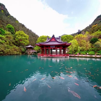 浙江丽水+云和+缙云+景宁4日3晚私家团 浙江丽水+云和+缙云+景宁4日3晚私家团