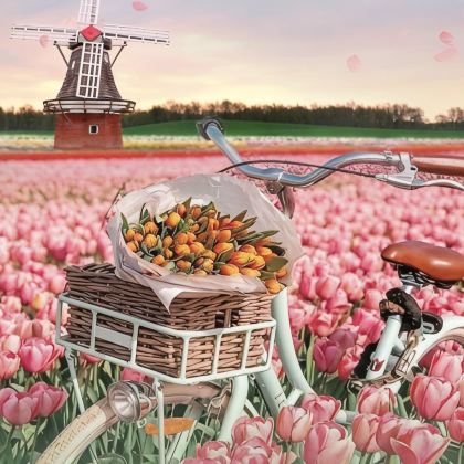 荷兰+德国+丹麦+比利时14日12晚跟团游 荷兰+德国+丹麦+比利时14日12晚跟团游