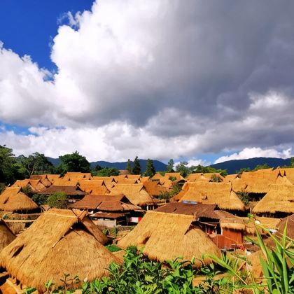 云南昆明+新平+临沧+沧源+澜沧+西盟+孟连+西双版纳8日7晚跟团游 云南昆明+新平+临沧+沧源+澜沧+西盟+孟连+西双版纳8日7晚跟团游