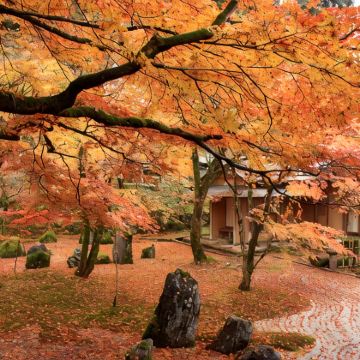 福冈+熊本+鹿儿岛7日私家团 福冈+熊本+鹿儿岛7日私家团