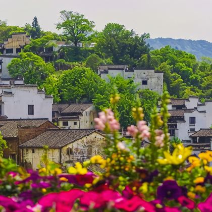 婺源篁岭景区+西递+宏村景区3日2晚跟团游 婺源篁岭景区+西递+宏村景区3日2晚跟团游
