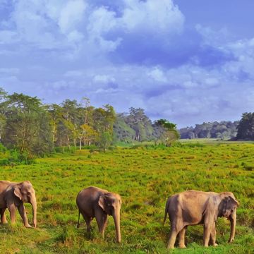 尼泊尔加德满都+博卡拉+奇旺+蓝毗尼+纳加阔特9日8晚私家团 尼泊尔加德满都+博卡拉+奇旺+蓝毗尼+纳加阔特9日8晚私家团