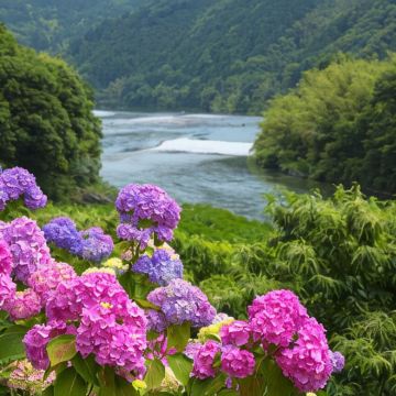 日本四国+松山+西条市+高知市+土佐清水市+宇和岛市7日6晚私家团 日本四国+松山+西条市+高知市+土佐清水市+宇和岛市7日6晚私家团