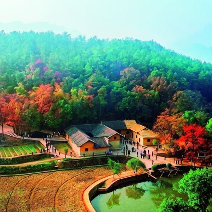 长沙+韶山+张家界+天门山+凤凰6日5晚跟团游 长沙+韶山+张家界+天门山+凤凰6日5晚跟团游