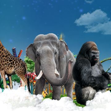 广州长隆+珠海长隆5日4晚跟团游 广州长隆+珠海长隆5日4晚跟团游