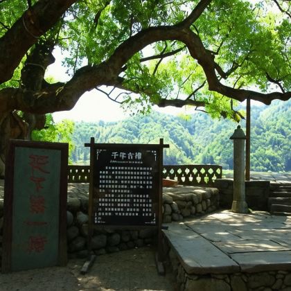 婺源+三清山4日3晚跟团游 婺源+三清山4日3晚跟团游