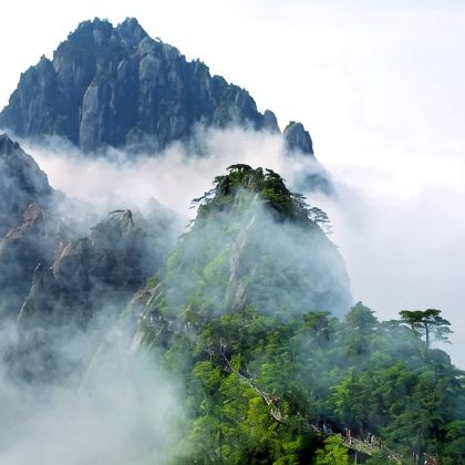 黄山风景区3日2晚跟团游 黄山风景区3日2晚跟团游