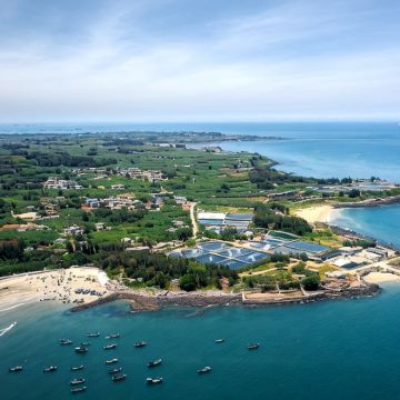 湛江4日3晚私家团 湛江4日3晚私家团