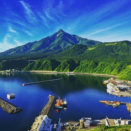 日本12日11晚私家团 日本12日11晚私家团