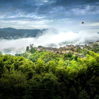宏村景区+婺源+徽州古城+阳产土楼+木梨硔+呈坎+西溪南古村落5日4晚拼小团 宏村景区+婺源+徽州古城+阳产土楼+木梨硔+呈坎+西溪南古村落5日4晚拼小团