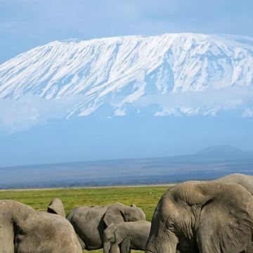 肯尼亚9日8晚私家团 肯尼亚9日8晚私家团