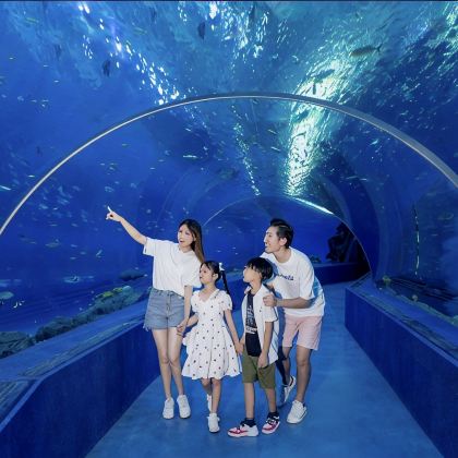 陵水+海南海洋欢乐世界度假区5日4晚拼小团 陵水+海南海洋欢乐世界度假区5日4晚拼小团